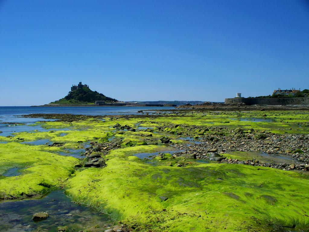 Wheal Rodney Holiday Park Marazion Room photo